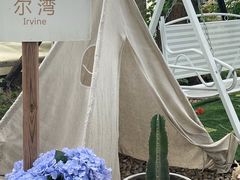 -安德鲁户外烧烤帐篷营地(马泉营店)