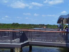 -东寨港红树林旅游区