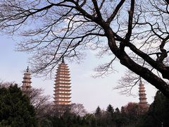 -崇圣寺三塔文化旅游区