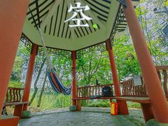 -南山植物园