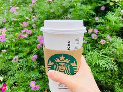 红茶咖啡拿铁鸳鸯-星巴克臻选(重庆沙坪坝店)