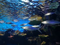 -华夏文旅西安度假区