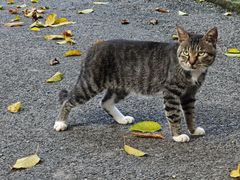 -两江国际影视城
