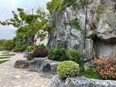 -上海吴淞炮台湾国家湿地公园