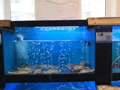 -鲜味食族水产·海鲜餐厅