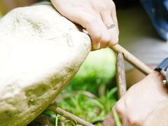 -中国科学院华南植物园