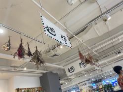 -趣陶陶艺手工坊(新世界百货重庆店)