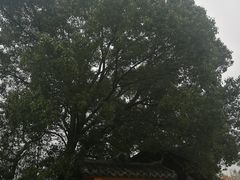 -道林古镇