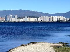 -洱海月湿地公园