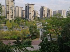 -飞凤山奥体公园