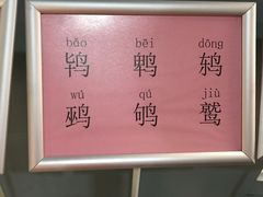 -盐城丹顶鹤湿地生态旅游区