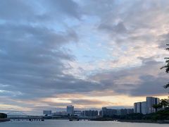 -五缘湾湿地公园