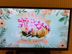 -月来悦好国际月子会所