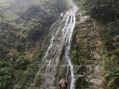 -鹿院坪生态旅游景区