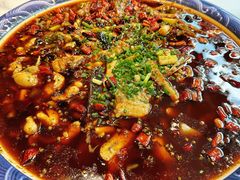 -新概念来凤鱼(璧山店)