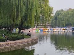 -团结湖公园