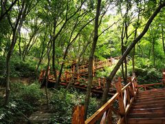 -大岭沟猕猴桃谷风景区
