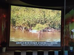 -中国湿地博物馆
