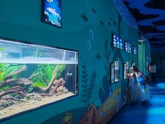 -海合安成都极地海洋公园