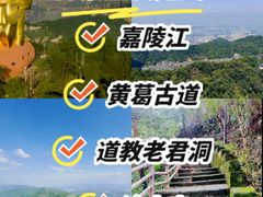 -大金鹰园