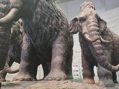 -大庆市博物馆