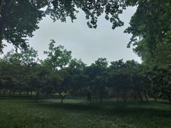 -河南省黄河迎宾馆