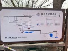 -洛阳白马寺