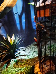 点击看大图 -酷嗒动物文化乐园(cutezoo西溪乐天城店)