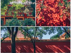 -故宫博物院(故宫)