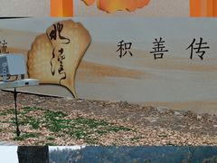 -四明山国家森林公园