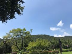-龙寺生态园