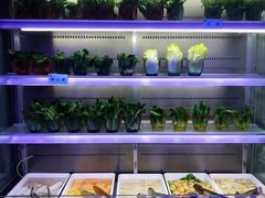 自助取餐区-澜悦港海鲜体验主题餐厅