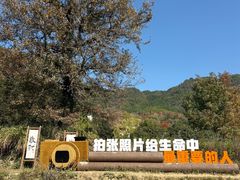 -塔川景区