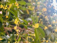 -汤家茗苑·精致私房菜(白沙店)