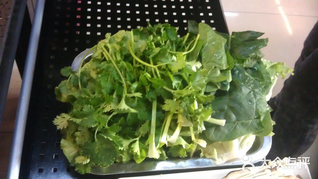 韩都丹东肥蚬子烤肉(民生路总店)青菜拼盘图片 - 第93张