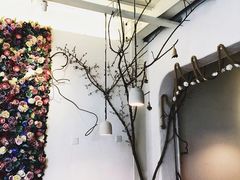 -春树下·树屋花房西餐厅(罍街AS1980店)