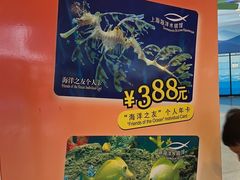 -上海海洋水族馆