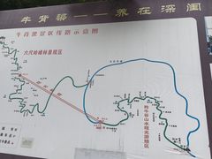 -牛背梁国家森林公园