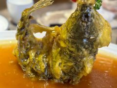糖醋鲤鱼-闫府私房菜·百年鲁菜(恒隆店)