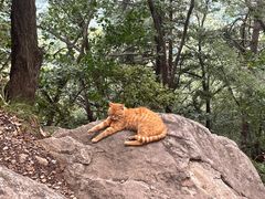 -终南山南五台景区