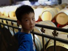 -丹世红酒庄·烧烤·团建·婚礼·水上运动
