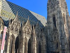 -斯蒂芬主教座堂(Stephansdom)