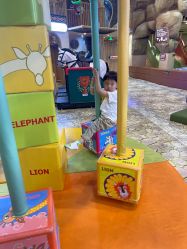 -卡通尼·Safari非洲探索乐园·生日会(金桥国际商业广场店)