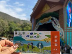 -西双版纳原始森林公园