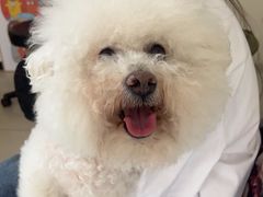 -美联众合动物医院·24h京西诊疗中心