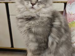 -宁波杉井奥特莱斯广场