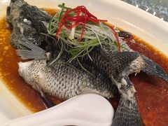 -金米箩大酒店(五角场店)