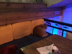 -Sirena海妖日咖夜酒