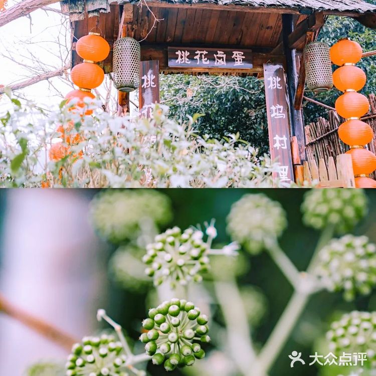 常德|我走入了陶渊明笔下"桃花源记"的世界