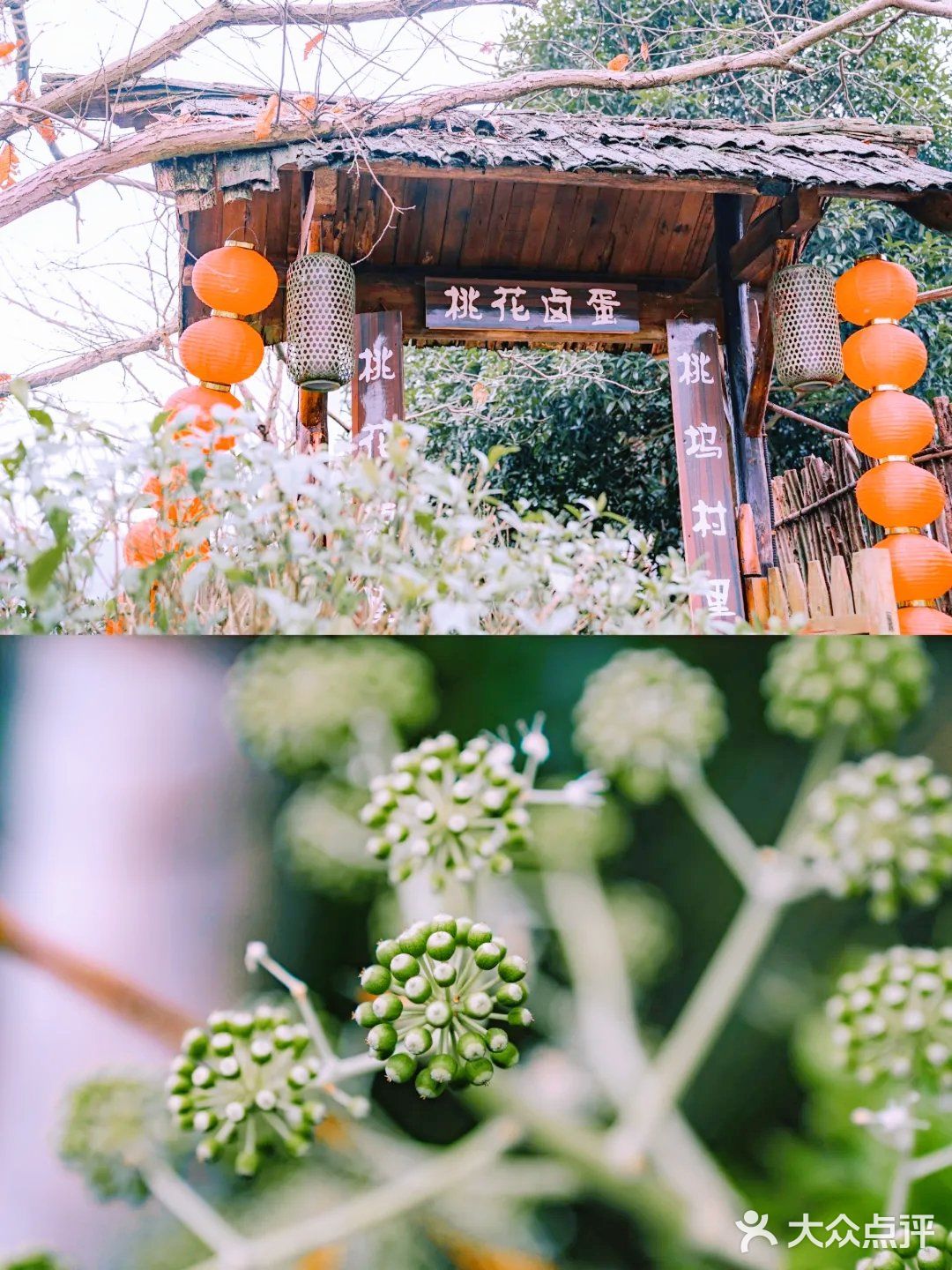 常德｜我走入了陶渊明笔下"桃花源记"的世界